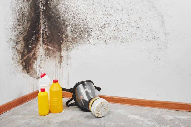 Best Residential Mold Removal  in Fort Gibson, OK