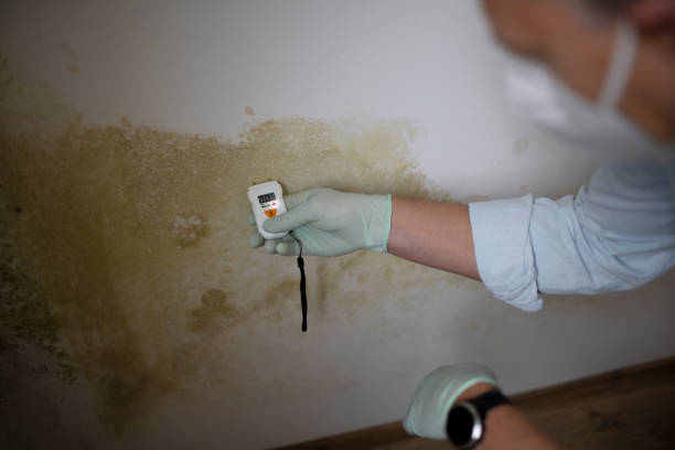 Best Emergency Mold Removal  in Fort Gibson, OK