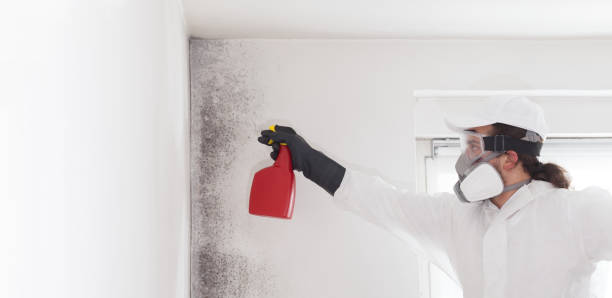 Trusted Fort Gibson, OK Mold Removal Experts