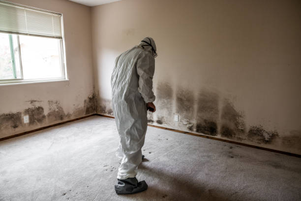 Best Commercial Mold Removal  in Fort Gibson, OK